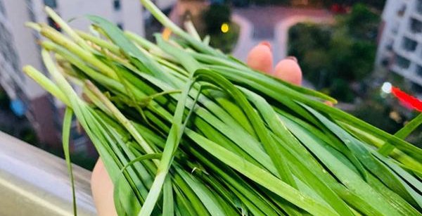 韭菜真的可以减肥吗?媳妇吃了一个星期,瘦了十斤