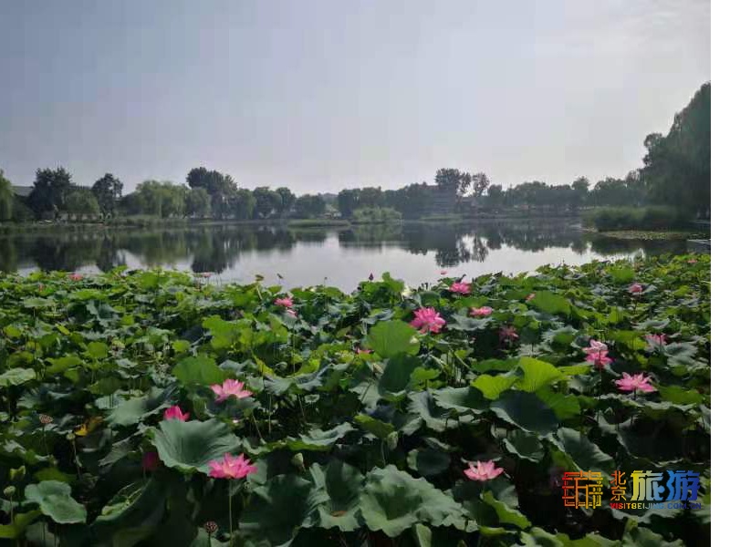 什刹海傍晚怎么玩,什刹海附近晚上适合玩的地方