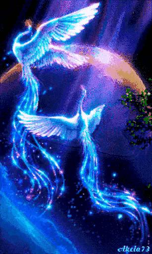 凤凰来仪风水作用,凤凰来仪礼物图片