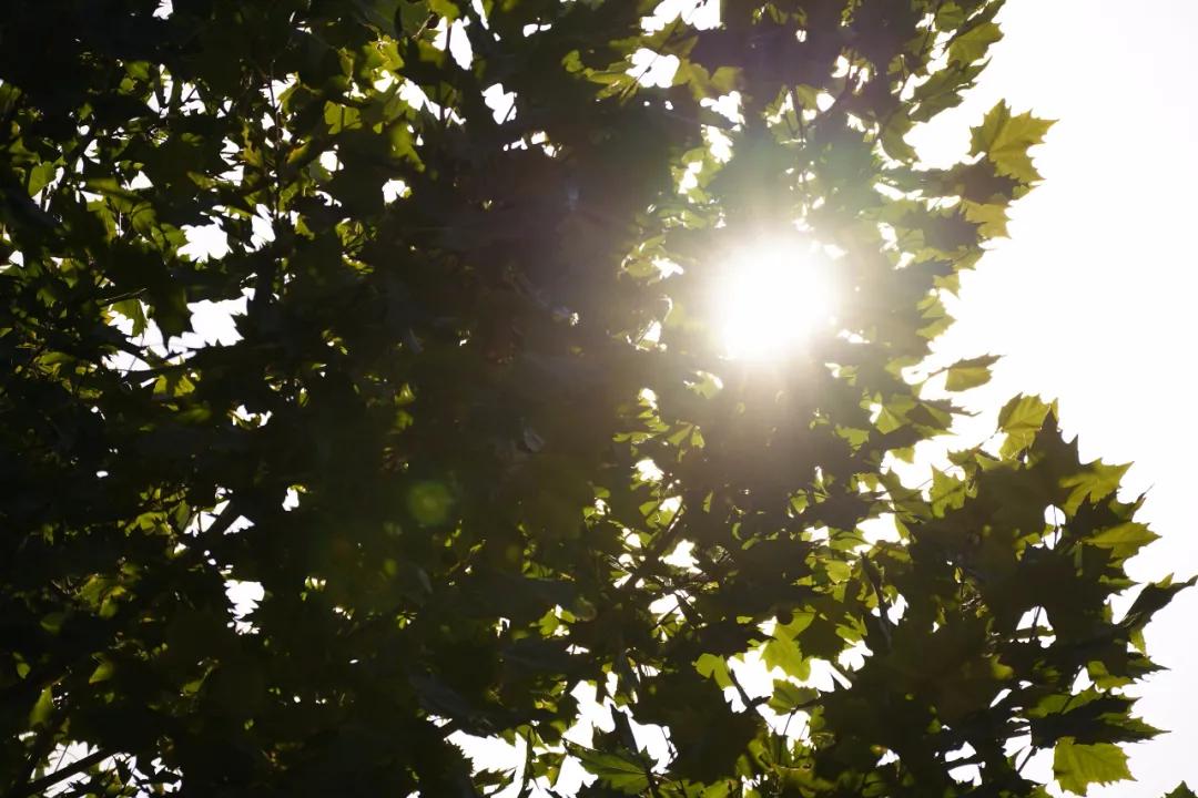 腾龙28-200f2.8长焦拍风景,长焦镜头腾龙