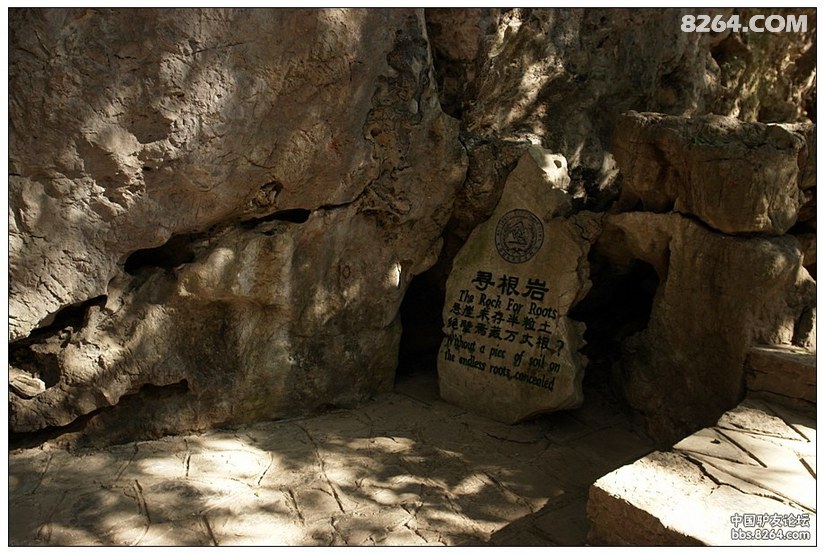 黄果树景区天星桥有没有必要去,贵州黄果树天星桥景区人山人海