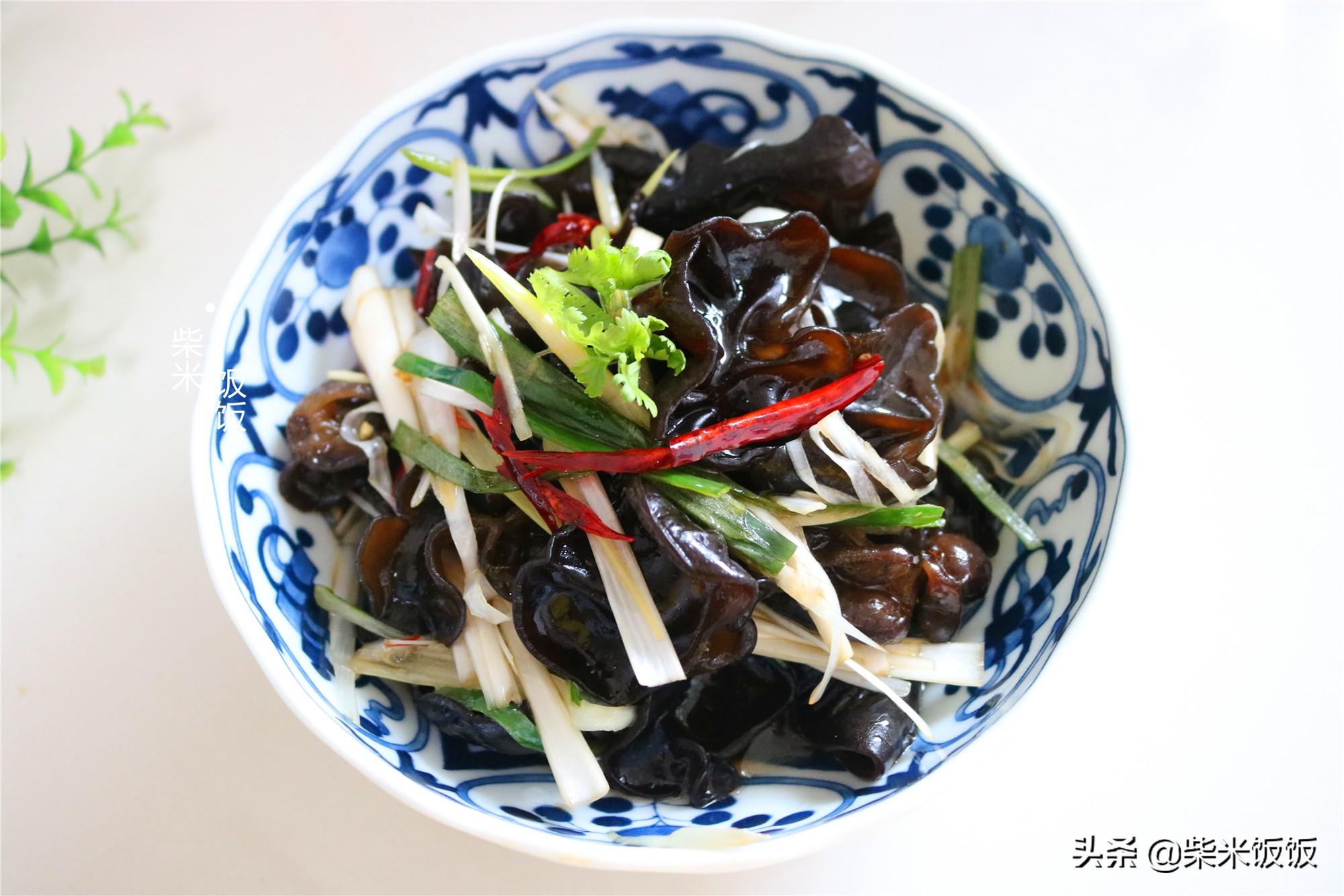 木耳除了炒肉和凉拌还可以怎么做,苦瓜洋葱木耳绝配