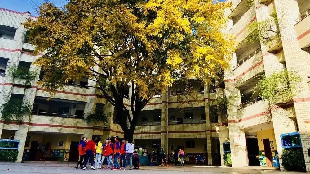 南岸区教育集团有哪些,南岸区小学汇总