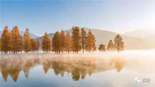 安徽自驾游十大必去景点,安徽自驾游最佳旅游路线推荐