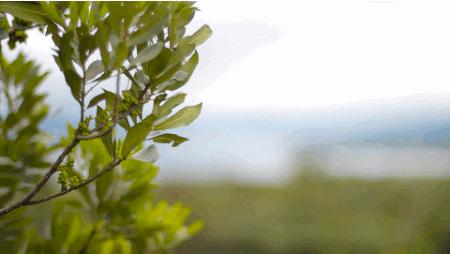 怀化侗乡秘境民宿,湖南怀化民宿前十名推荐