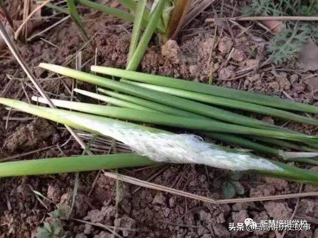 娣囧幙瀵掓硥鏅偣,娣囧幙鏈濇瓕瀵掓硥鍦板潃