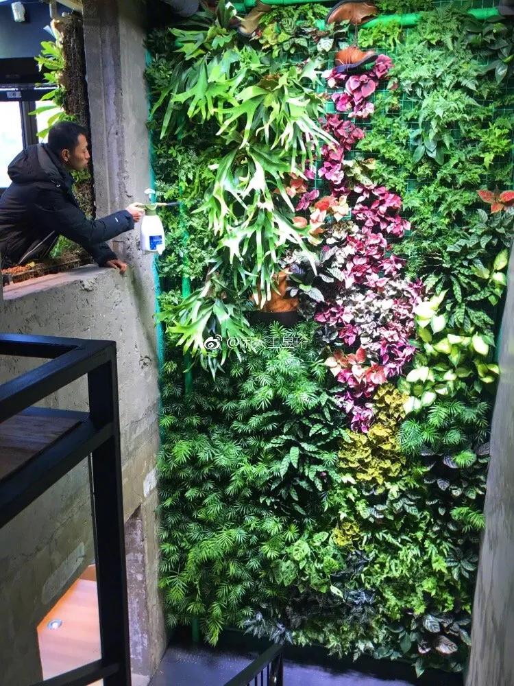 王昱珩不上班做到财富自由,最强大脑王昱珩清华毕业后不上班