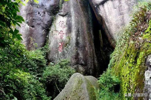 十大名茶最新排名白茶,哪里的雪芽茶叶最好