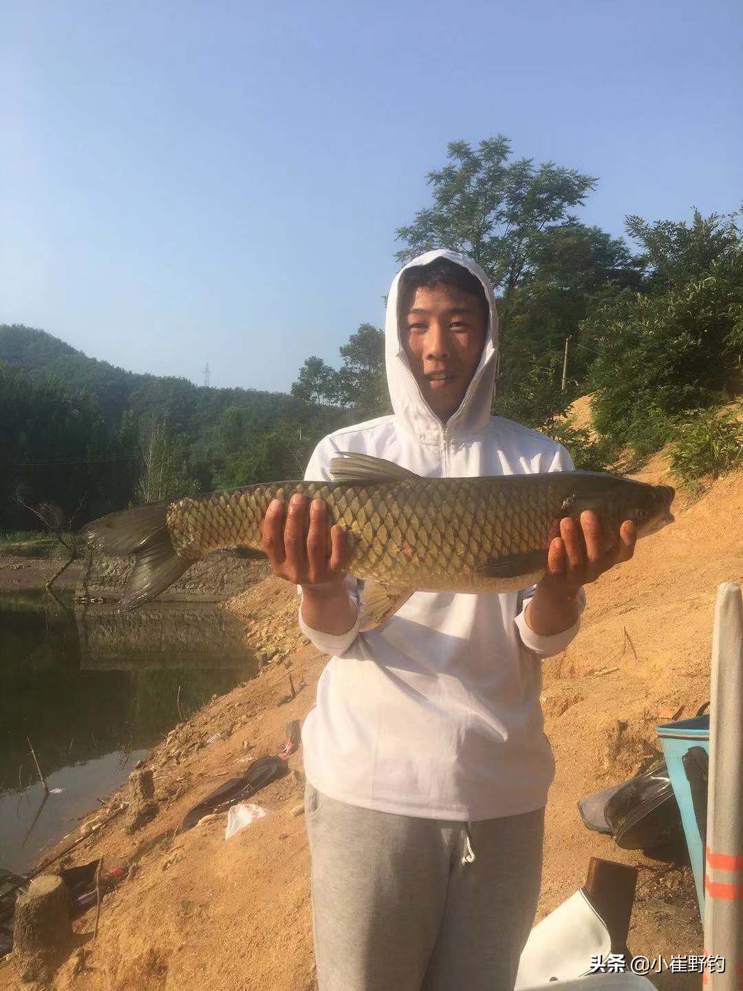 黑坑钓鲫鱼怎么样钓最好,黑坑钓鲫鱼用什么钓最好