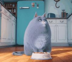 广告宣传的功效是不是真的那么厉害？全信你就输了