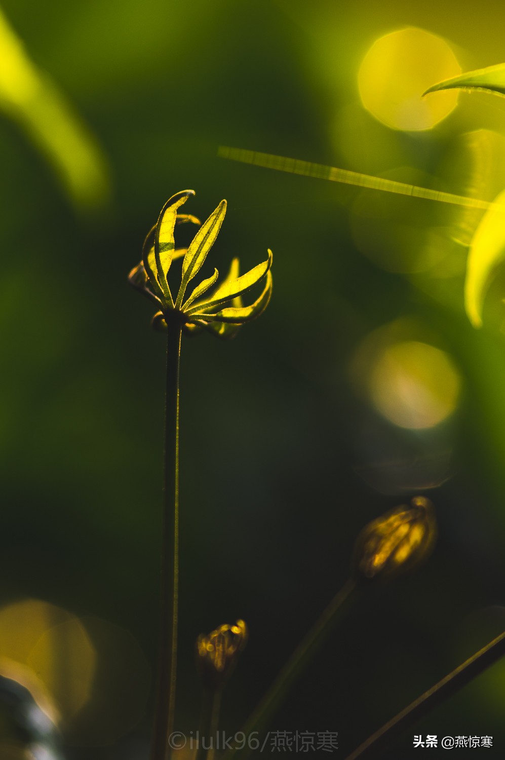 宾得理光镜头通用吗,宾得理光手动镜头推荐