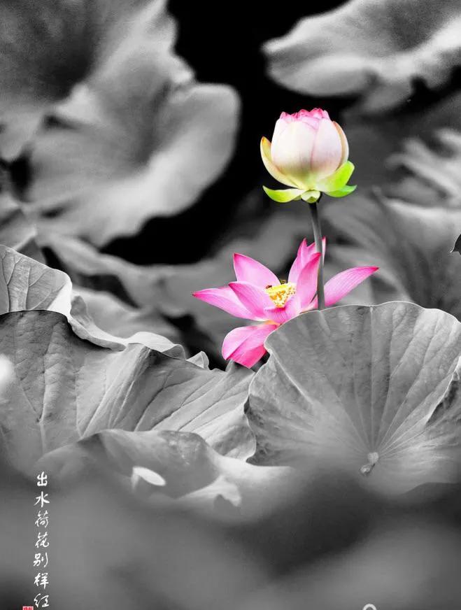 睡眠管理有多重要呢,睡眠管理的价值