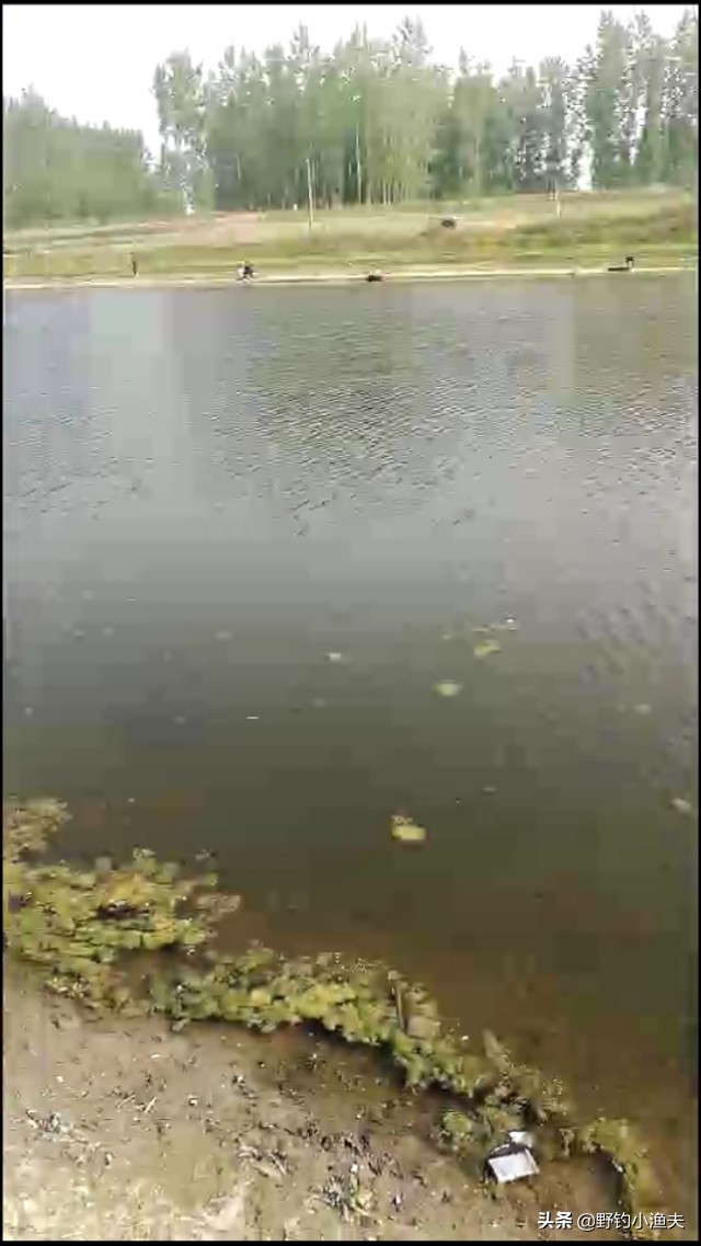 周口商水汾河钓鱼,周口汾河钓鱼最佳地点