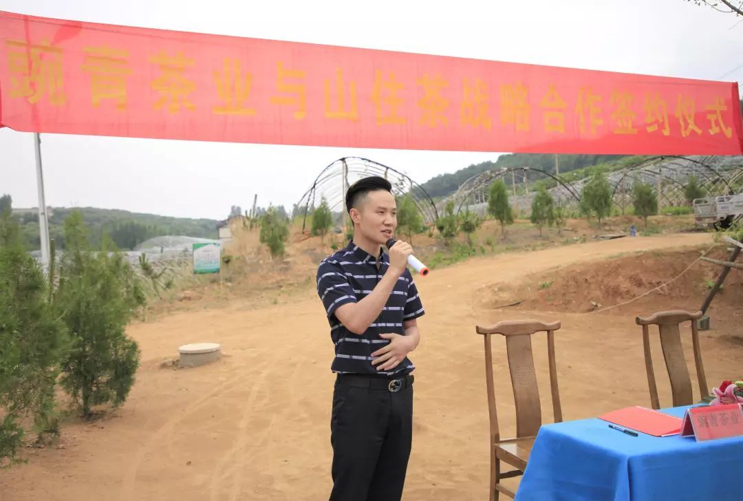 豌青茶业官方旗舰店,莒南县豌青茶业