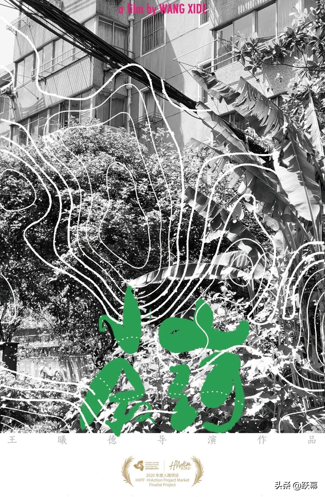 5部电影入围台湾电影节,海南电影节征集启动