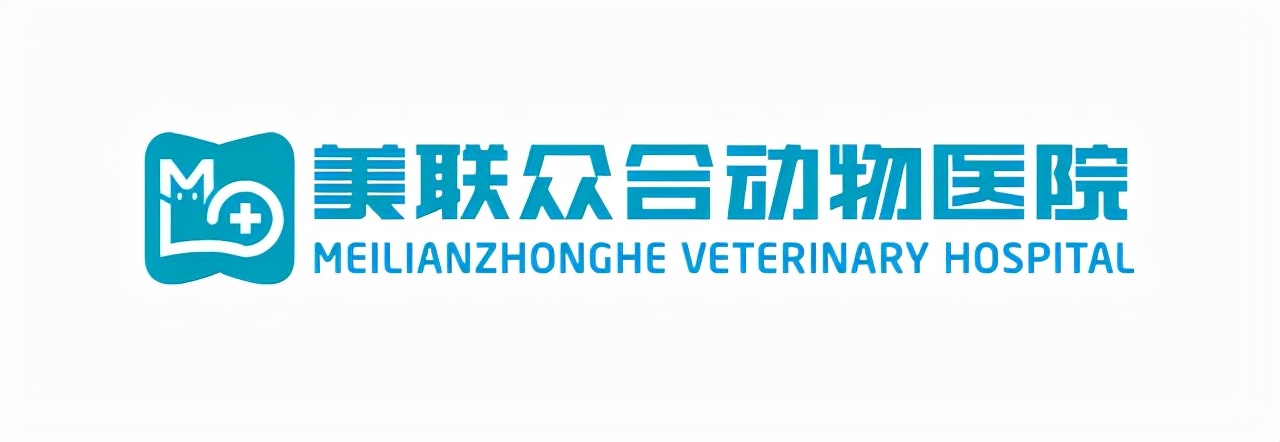 众所周知的猫咪,猫咪是液体也是固体