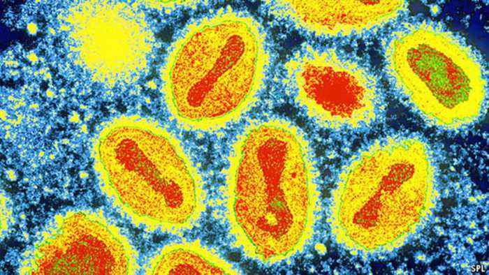 海南当地常见的传染病有哪些,海南是哪一年有疫情的