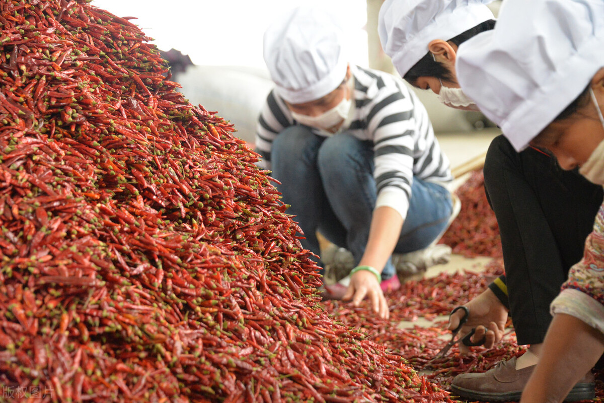疫情之后做什么生意最赚钱,疫情期间赚钱最多的行业有哪些
