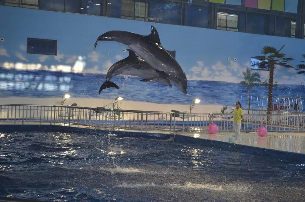 开封海洋馆门票70岁免费吗,开封海洋馆门票20元2019