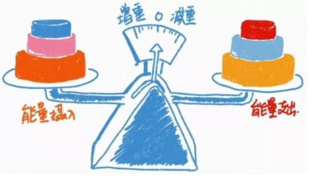 减肥期间能吃减脂饼干吗,减脂饼干靠谱吗