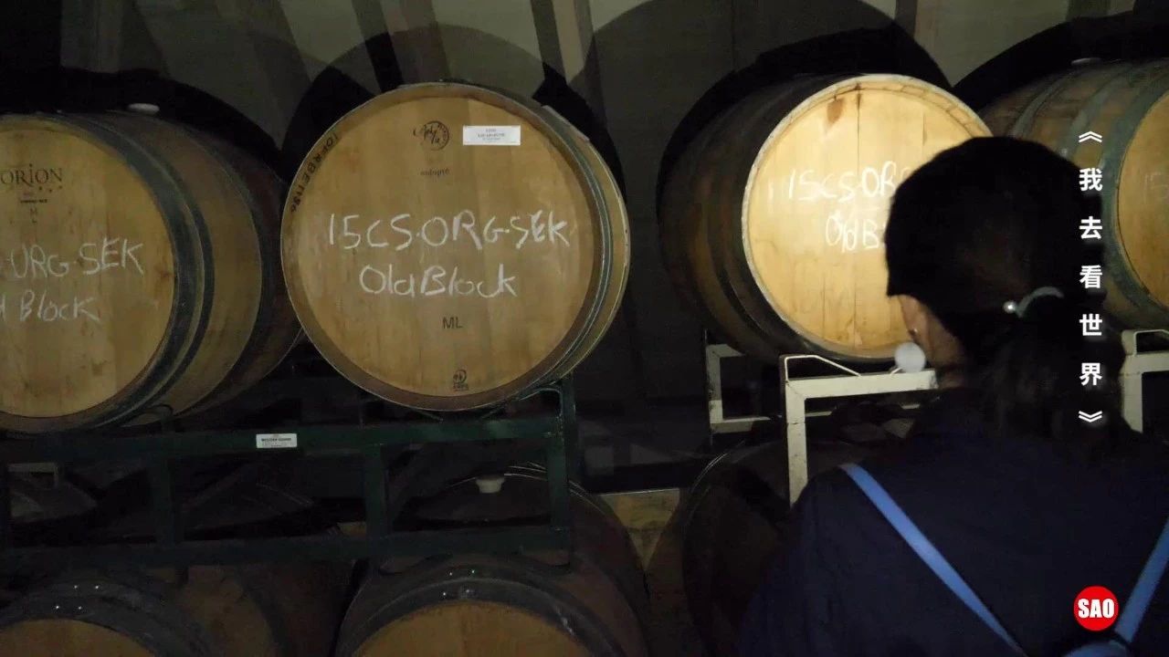 红酒葡萄酒可以放多久,红酒放的不酸不涩了还能喝吗