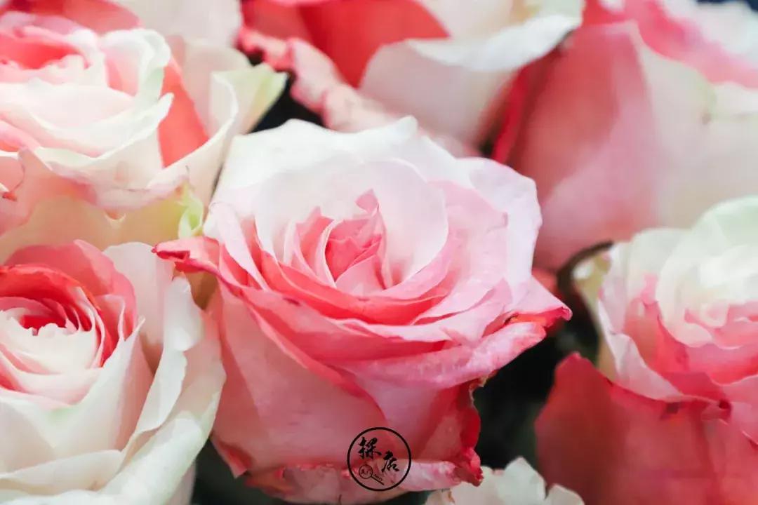 免费送tf口红,tf口红免费送