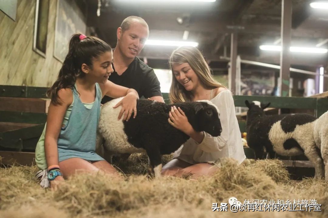 旅居新西兰,旅居新西兰有什么条件
