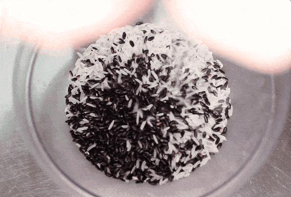 冬季补肾的八大食物有哪些,补肾的食物冬季