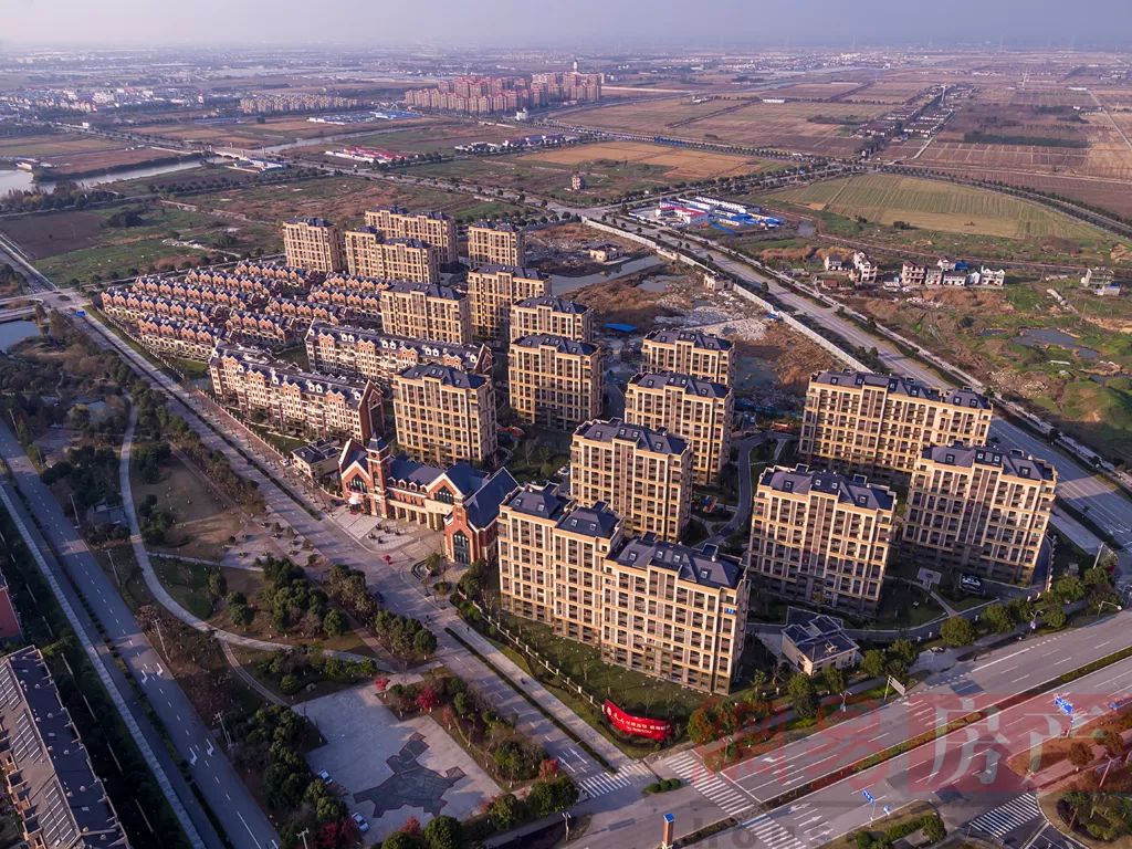 上海金山未来发展,上海的金山农村什么样