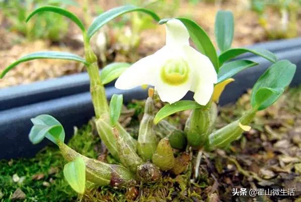 安徽霍山旅游景区第一视角,安徽霍山旅游推荐