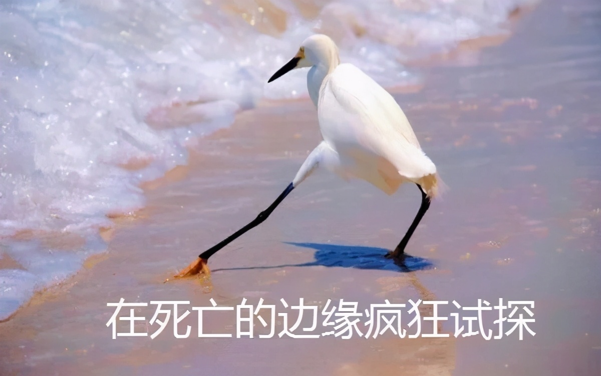 为了寻找UFO，他黑入了美国国防系统