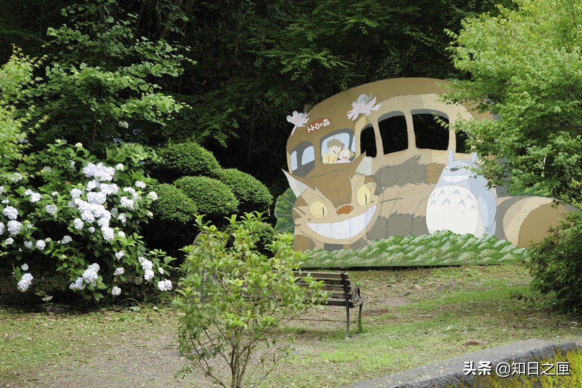 龙猫在日本的什么地方 (萤火之森和龙猫)