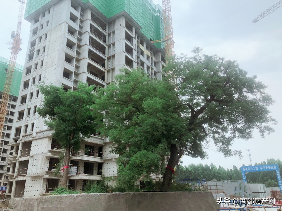 郑州楼市为何不看好滨河国际新城,郑州双湖科技城对比滨河国际新城