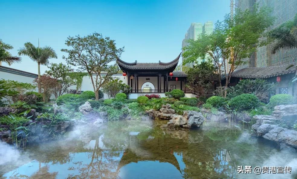 美丽家园贵港,美丽家园摄影作品展