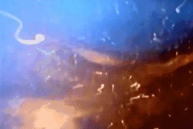 每一个都那么拼命前进，我们还好意思去选择性别吗？