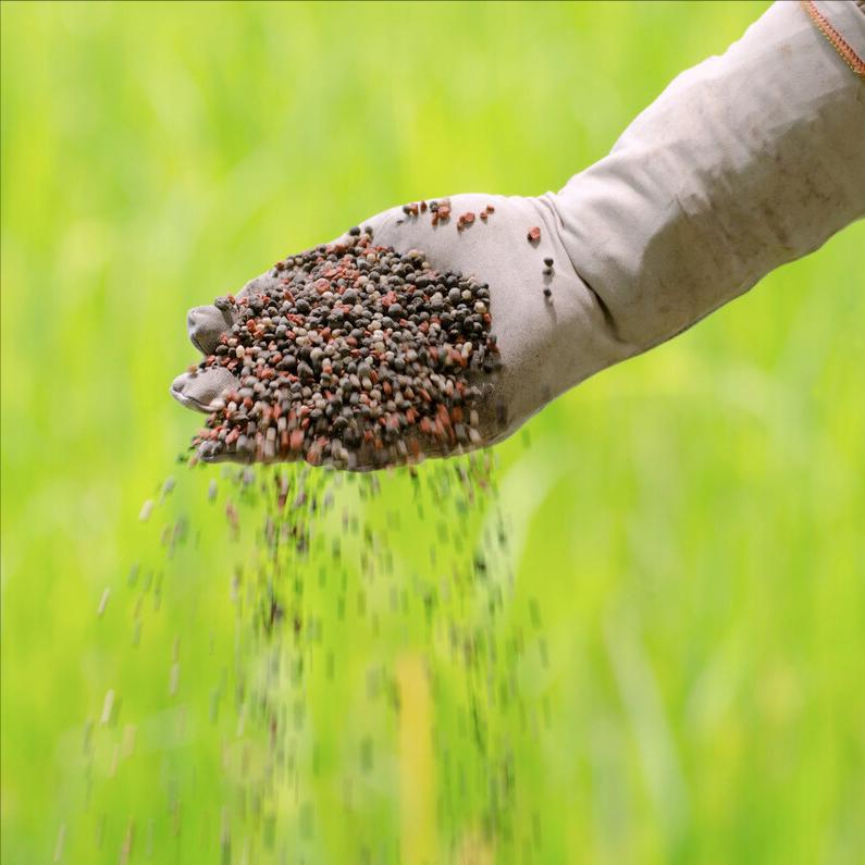 水稻旱种植技术视频,水稻种植的流程步骤