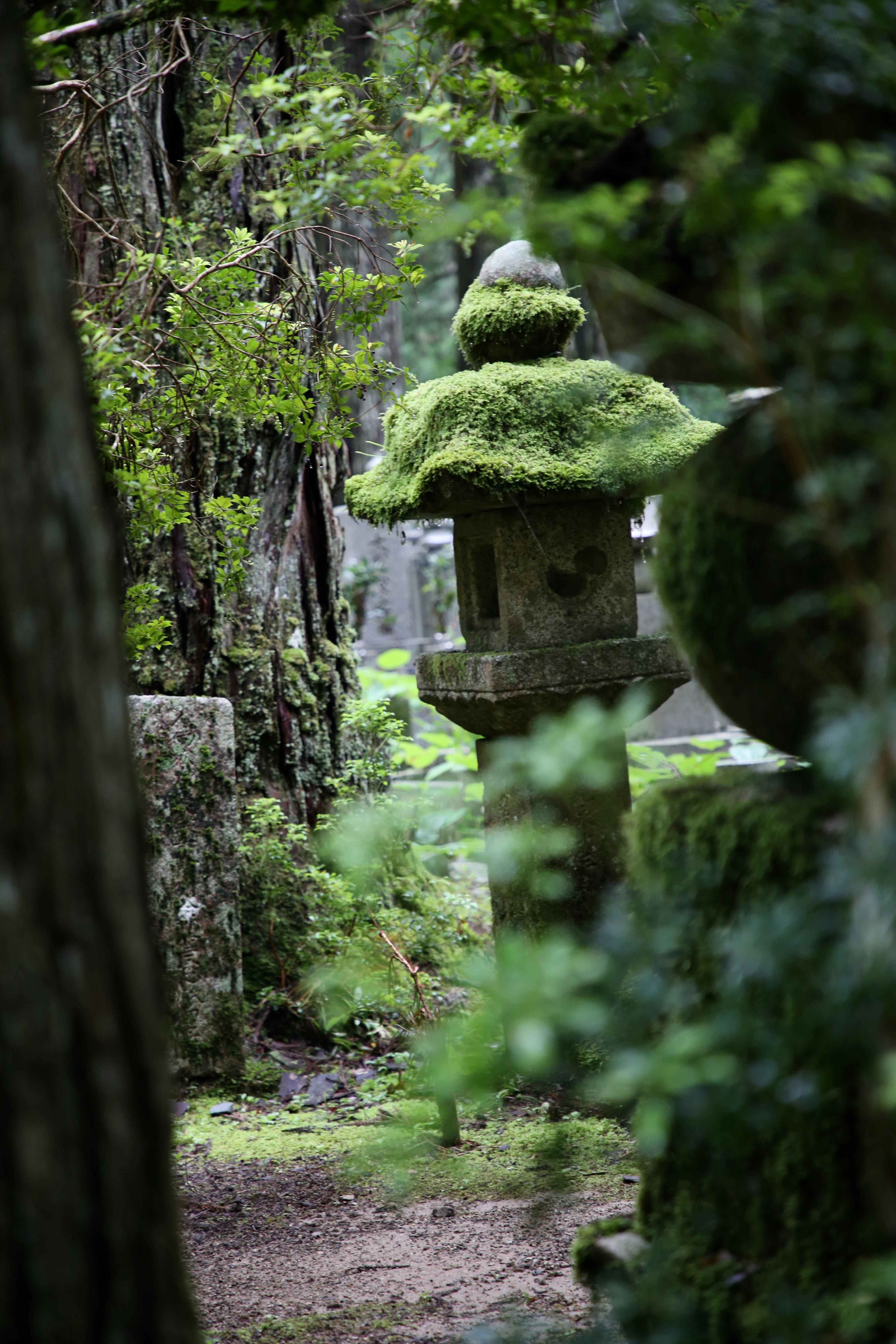 红杏要出墙什么意思,红杏已出墙是什么意思