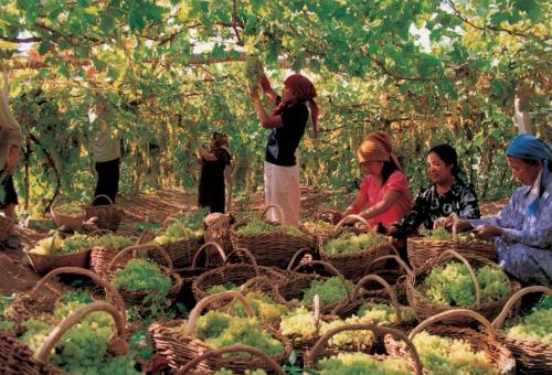 史前时代的文明首次出现,史前亿万年的文明迹象