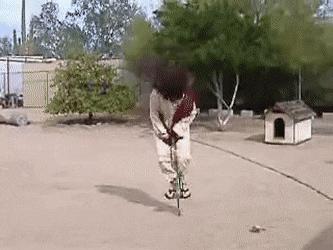 遭遇百般霸凌后,机器人竟将枪口对准人类