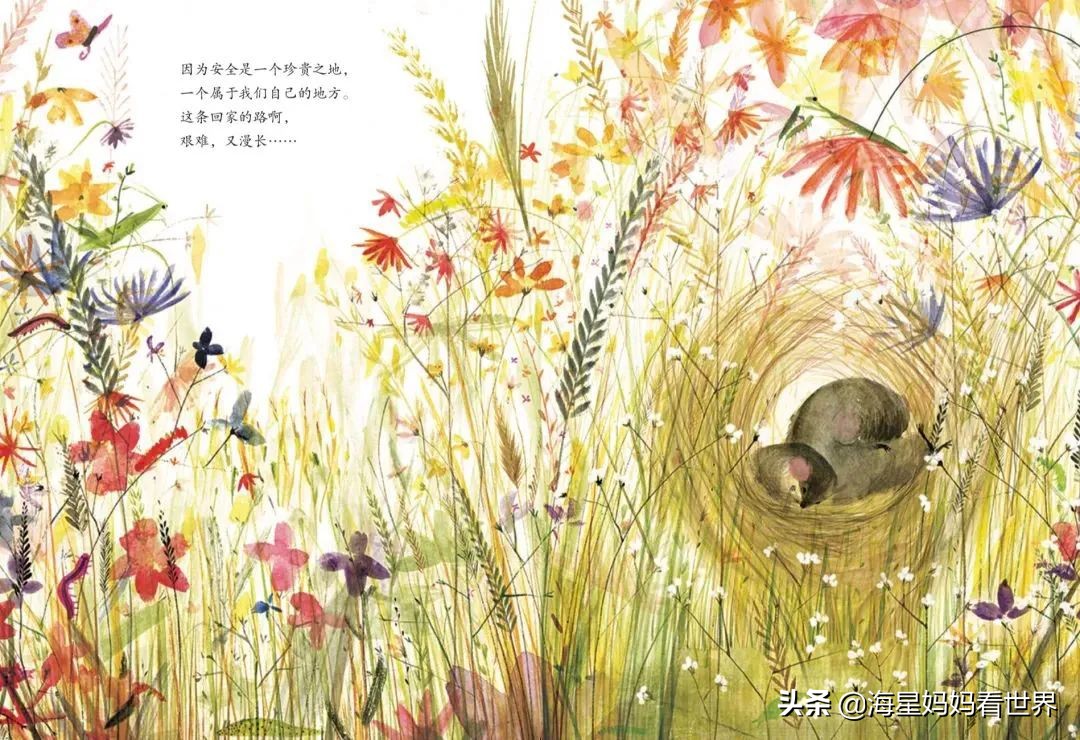 提高3-6岁孩子想象力的绘本,让孩子提升想象力的书