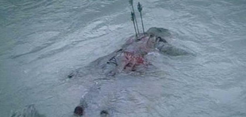 好莱坞十部顶级神作9.5评分电影,十部顶级神作9.5评分电影好莱坞