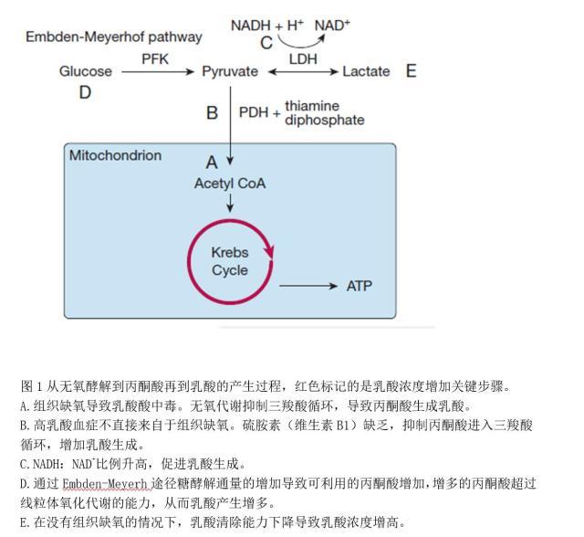 脓毒症电解质代谢紊乱,脓毒性酸中毒