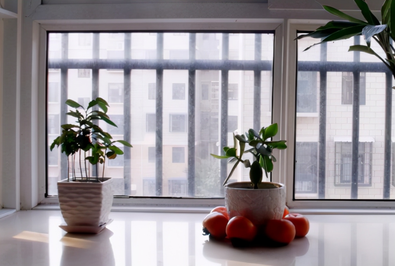 远道而来的亲戚,远方亲戚非要住情侣家