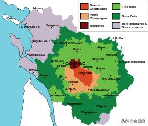 一次搞懂精华萃取,一次弄懂干邑白兰地