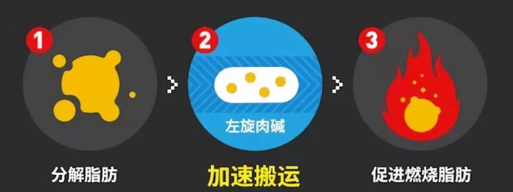 美林康左旋肉碱减肥靠谱吗,左旋肉碱咖啡粉减肥靠谱吗