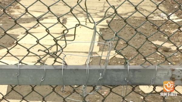 中介乱象整治工作汇报材料,严查复工复产金融诈骗