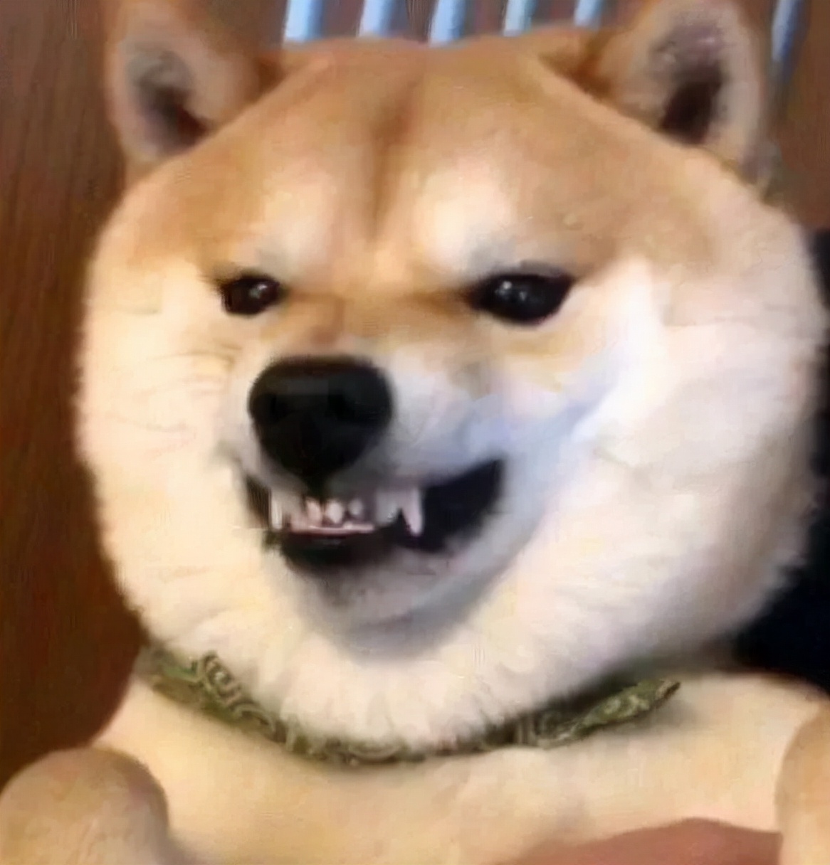 胎压故障灯亮了还能继续开吗,马自达cx4胎压报警亮了一下熄灭了