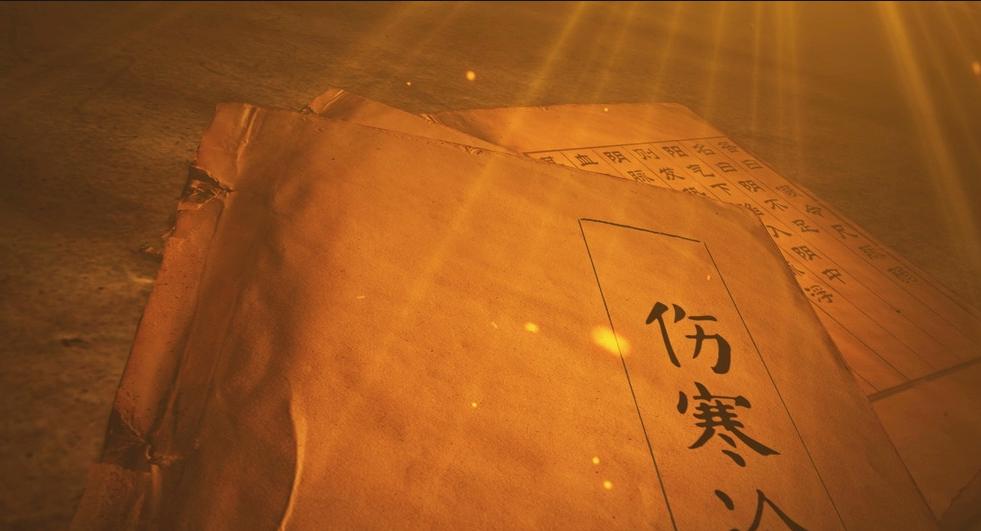 伤寒论调气血的方子,伤寒论方剂用药规律