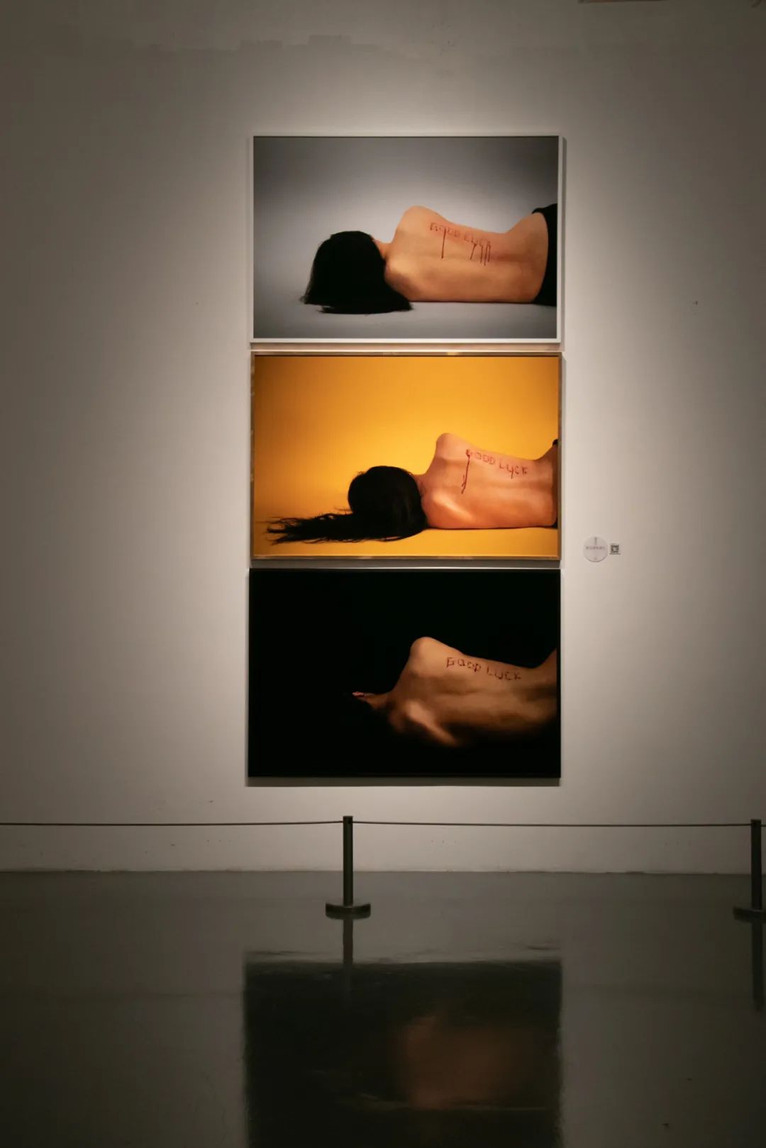 五月展讯北京,五月展会图片大全