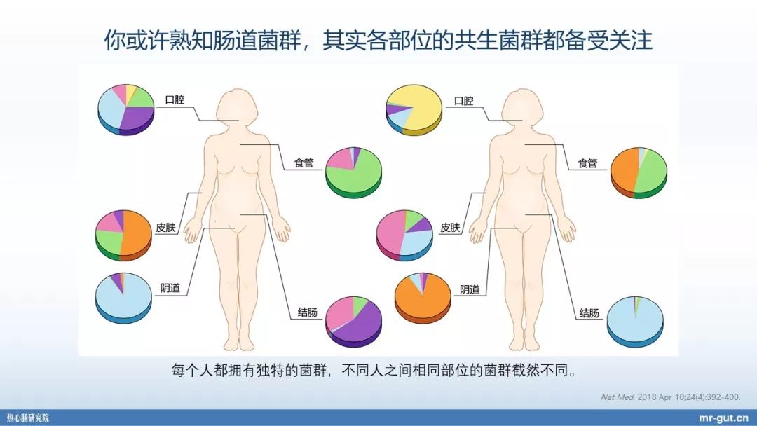 热心肠先生益生菌视频大全,热心肠先生全集